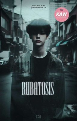 RUBATOSIS ❀ HyunIn [✓]