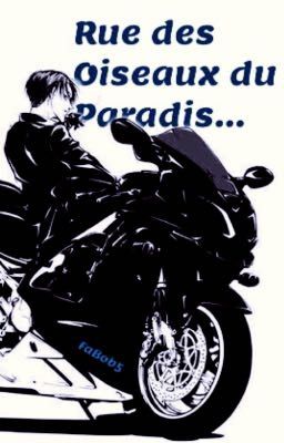 Rue des Oiseaux du Paradis... [Levi x Fem!Reader]