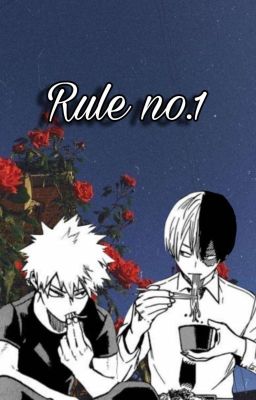 Rule no.1 [Todobaku]