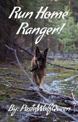 Run Home Ranger!