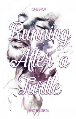 Running After A Turtle