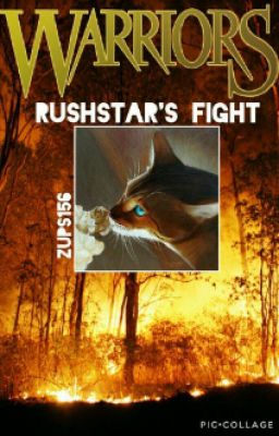 Rushstar's Fight