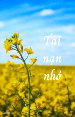 [rvss3/ Mikelodic x Pháp Kiều] Tai nạn nhỏ