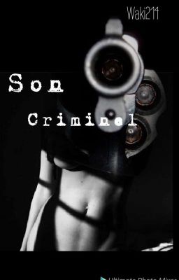 Sa Domestique 2: Son Criminel 