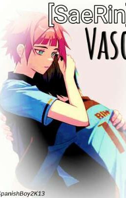 [SaeRin/SeRn] ✤ - VASO.