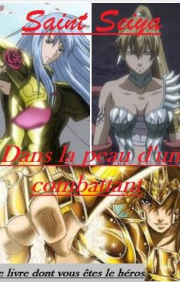 saint seiya : dans la peau d'un combattant ( livre dont vous êtes le héros )