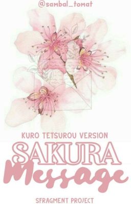 sakura message 💌 Kuroo Tetsurou