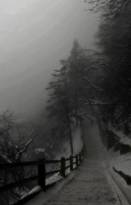 sakuryo • mảnh kính vỡ