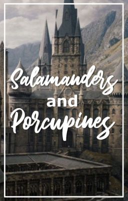 Salamanders and Porcupines