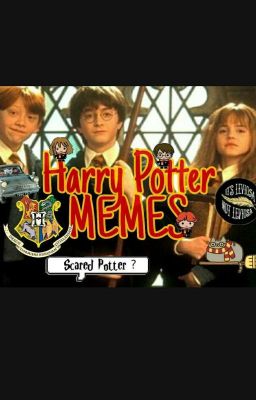 Sammlung von Harry Potter Memes  💛💙❤💚 