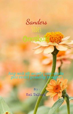 Sanders Sides Oneshots