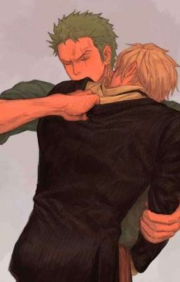 [Sanji X Zoro] Bé mèo nhỏ của anh sạn