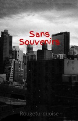 Sans Souvenirs