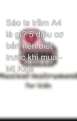 Sáo la trầm A4 là gì? 5 điều cơ bản nên biết trước khi mua - MI Kids