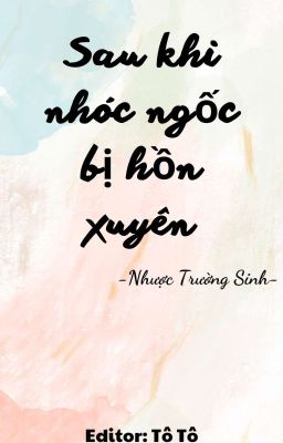 Sau khi nhóc ngốc bị hồn xuyên