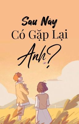 Sau Này Có Gặp Lại Anh?