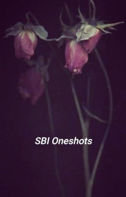 SBI Oneshots