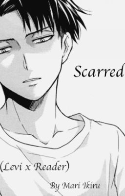 Scarred (Levi x Reader)