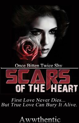 Scars of the Heart - (TVD FanFiction) 