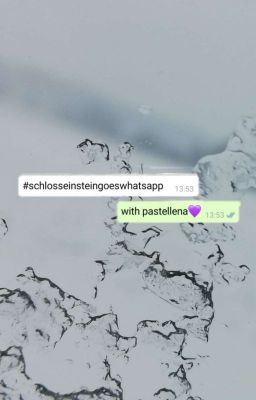 #schlosseinsteingoeswhatsapp 