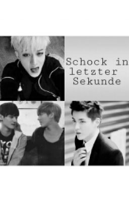 Schock In Letzter Sekunde (TAORIS OS)