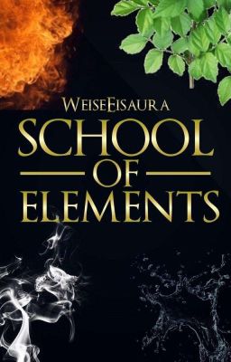 School of Elements - eine etwas andere Schule