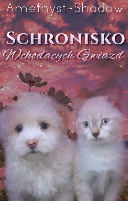 🦊🌱Schronisko Wschodzących Gwiazd🌱🦊