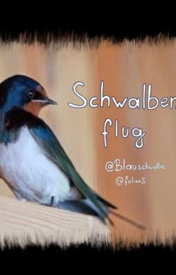 Schwalbenflug - Buch 3