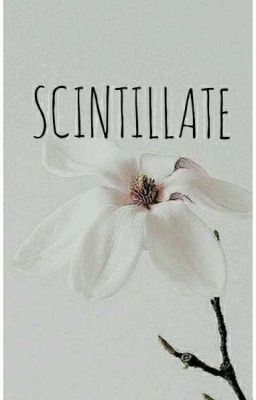 SCINTILLATE || unpopular fandom opinions