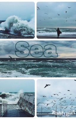 Sea