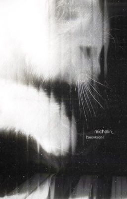 SeanKeon || Michelin