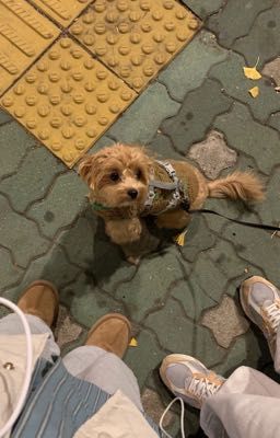 seankeon • nhiều hơn