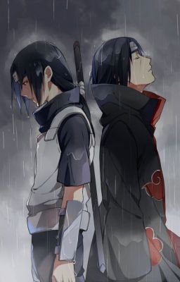 Seasons [Itachi x Reader]