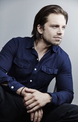 Sebastian Stan Imagines (Requests Accepted)
