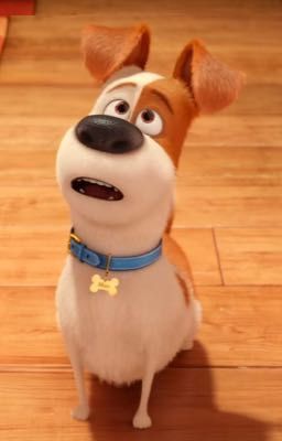 Secret life of pets-- the haunting 