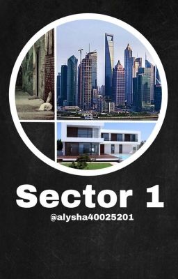 Sector 1