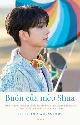 『 SeokSoo 』Buồn của mèo Shua