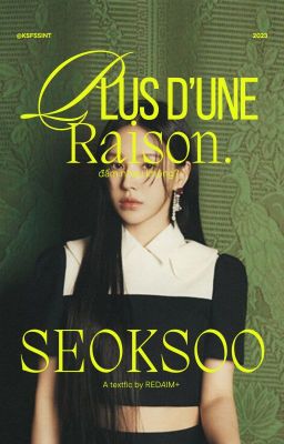 seoksoo / plus d'une raison.