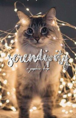 SERENDIPITY// a graphics dump