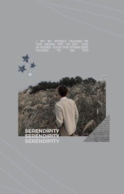 Serendipity - Cherik