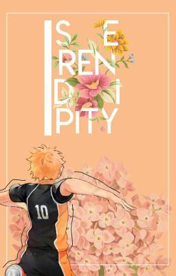 Serendipity | hinata shoyo x reader✔