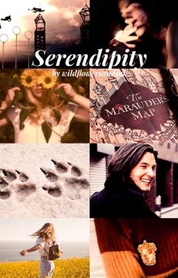 Serendipity (S. Black)