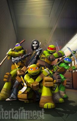 Serie TMNT (temporada 2) (TMNT X Oc's)