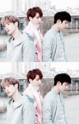 [Series] [MarkJin] Gia đình văn hoá ly kỳ chuyện