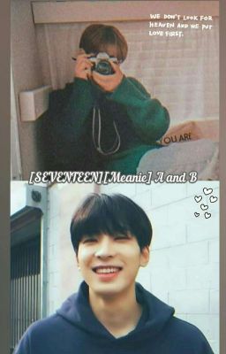 [SEVENTEEN][Meanie] A and B