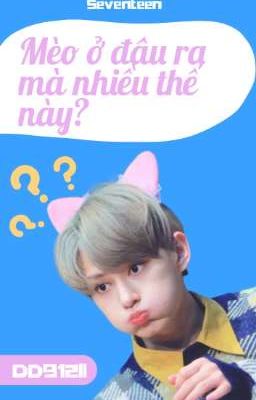 [SEVENTEEN] Mèo ở đâu ra mà nhiều thế này?