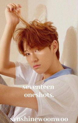 « seventeen oneshots »