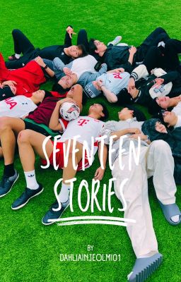 SEVENTEEN STORIES (ONE SHOTS / IMAGINES / SHORT STORIES)