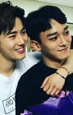 Seventeen  || Suchen ||