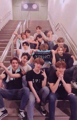 [SEVENTEEN×You] Mẩu truyện nhỏ về you và Sebongie <3